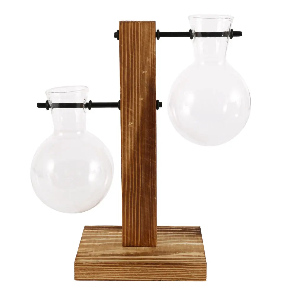 Glass Bulb Planter