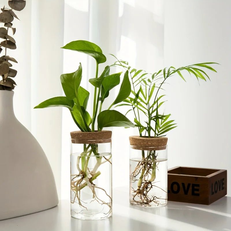 Glass Hydro Planter