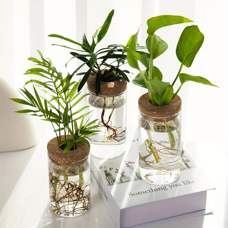 Glass Hydro Planter