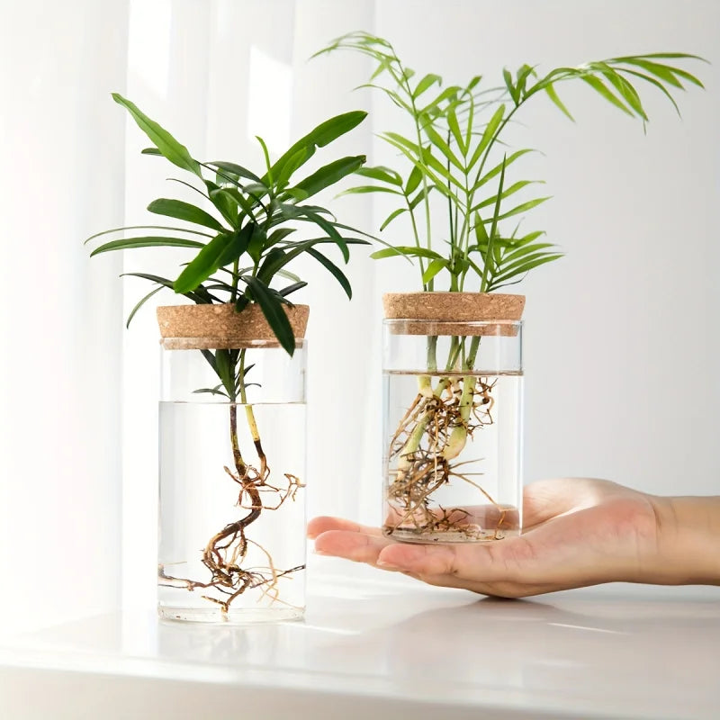 Glass Hydro Planter