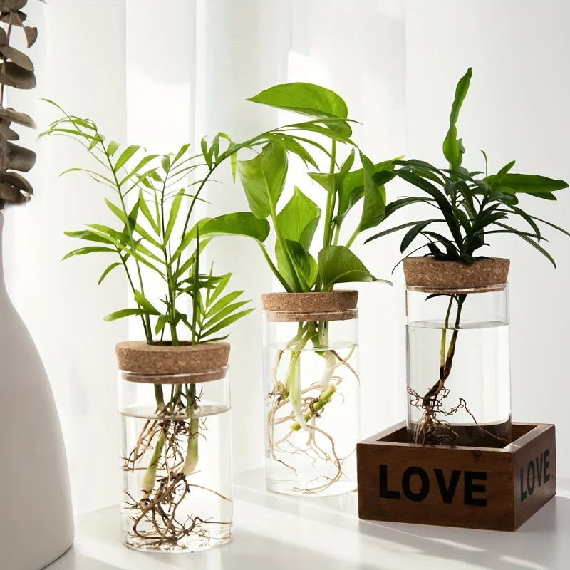 Glass Hydro Planter