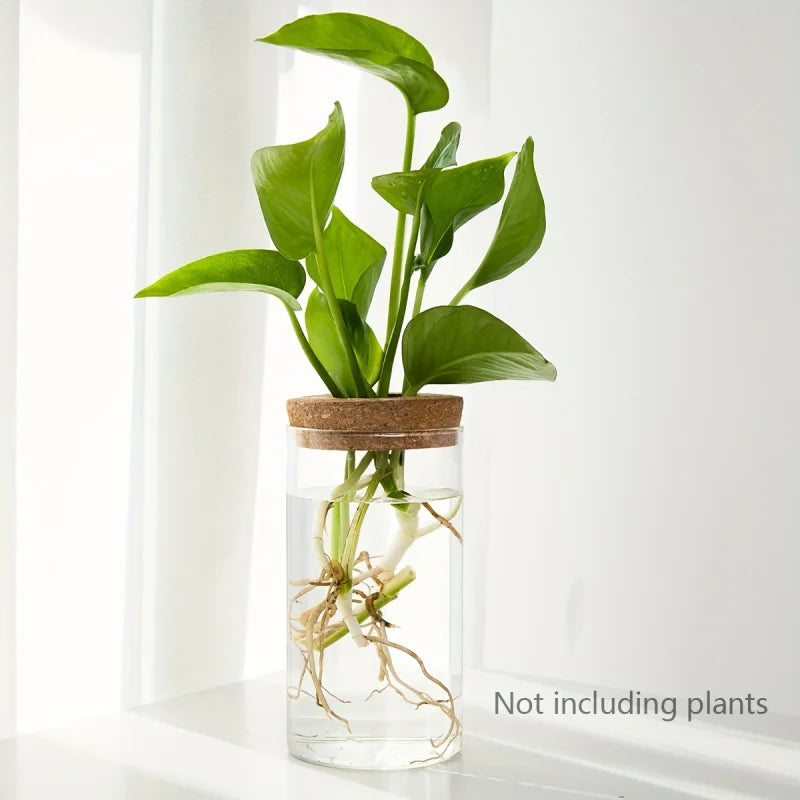 Glass Hydro Planter