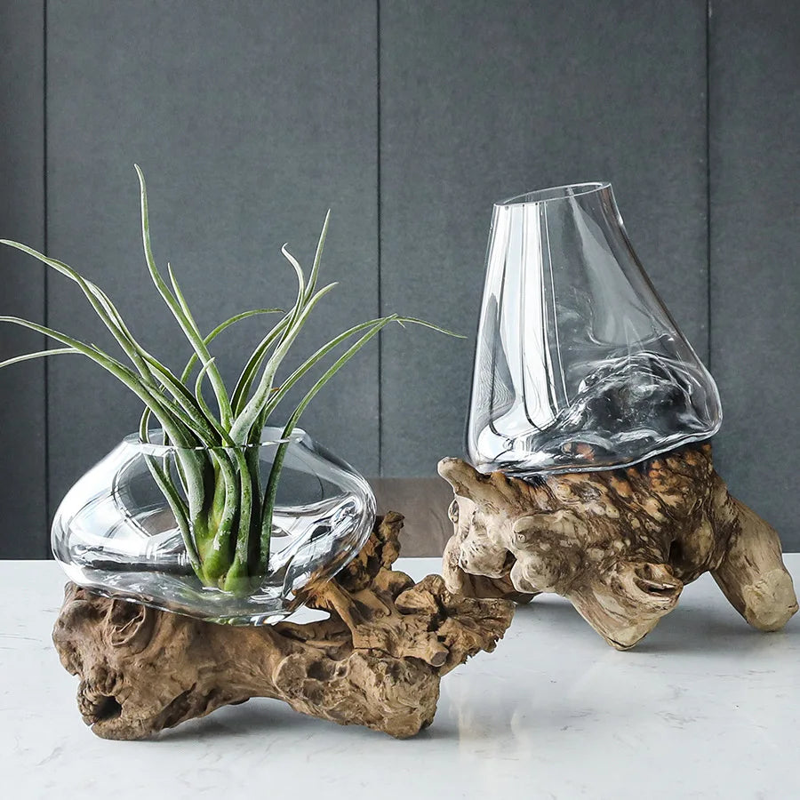 Glass Bonsai Vase
