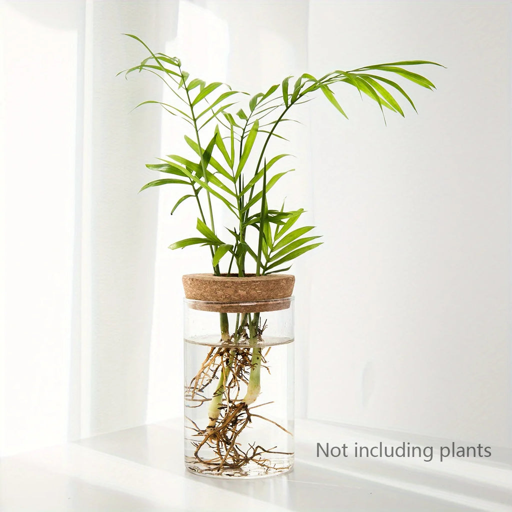 Glass Hydro Planter