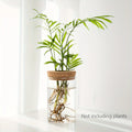 Glass Hydro Planter