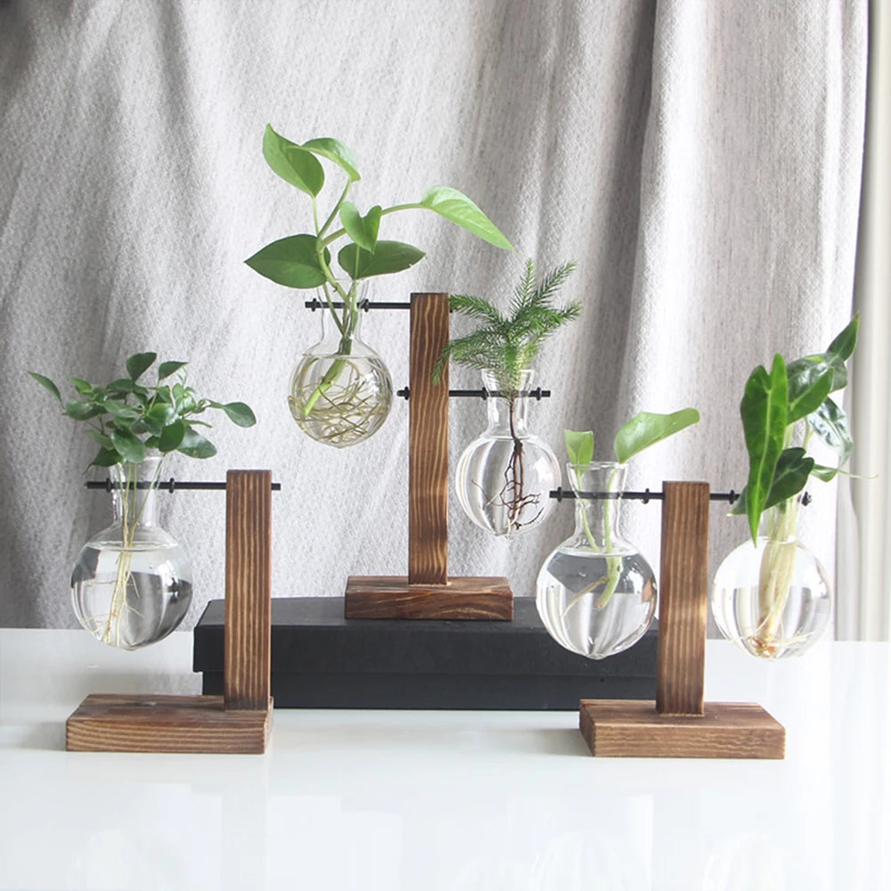 Glass Bulb Planter