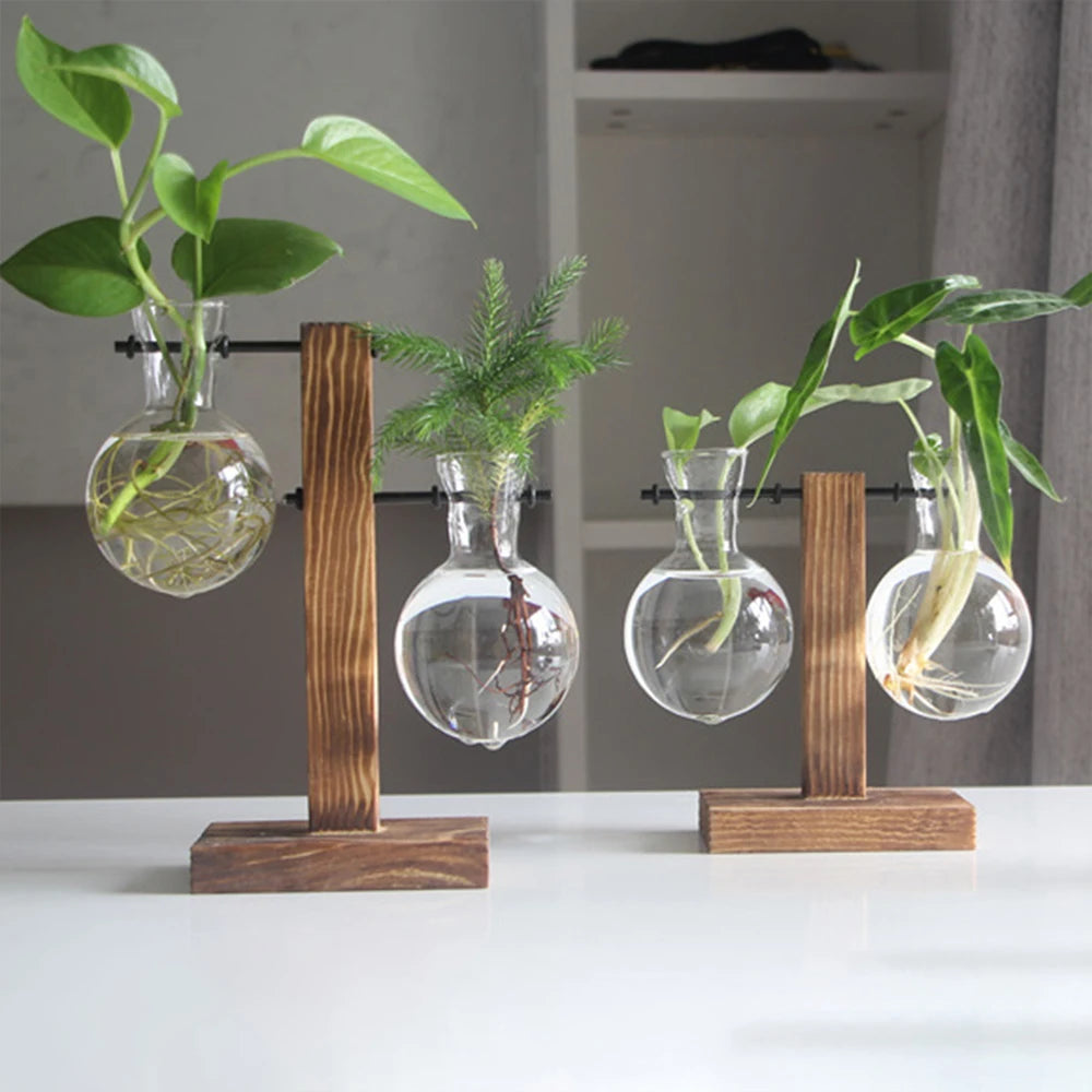 Glass Bulb Planter